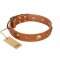 "Visual Magic" FDT Artisan Tan Leather Central Asian Shepherd Collar for Daily Activities