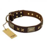 "Sparkling Bronze" FDT Artisan Genuine Leather Central Asian Shepherd Collar with Bronze Look Stars and Plates