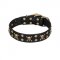 "Jolly Rojer" FDT Artisan Leather Central Asian Shepherd Collar with Pirate Skulls and Studs - 1 1/2 inch (40 mm) wide
