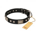 "Pirates Gold" FDT Artisan Black Leather Central Asian Shepherd Collar with Old Silver Look Plates and Skulls