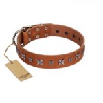 "Star Shine" Exclusive FDT Artisan Tan Leather Central Asian Shepherd Collar with Silver-Like Adornments
