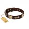 "Sense of Freedom" FDT Artisan Brown Leather Central Asian Shepherd Collar with Old Bronze-Plated Studs and Plates
