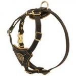 Tracking Walking Walking Leather Central Asian Shepherd Harness for Puppies