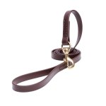 Brown Waterproof Central Asian Shepherd Leash Made of Biothane