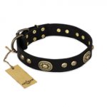 "High Fashion" FDT Artisan Studded with Plates Black Leather Central Asian Shepherd Collar