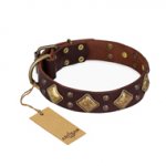 "Golden Square" FDT Artisan Brown Leather Central Asian Shepherd Collar with Large Squares