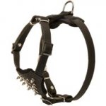 Durable Spiked Leather Puppy Central Asian Shepherd Harness