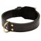 Training 2 Ply Leather Central Asian Shepherd Collar
