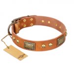 "Saucy Nature" FDT Artisan Tan Leather Central Asian Shepherd Collar with Old Bronze Look Plates and Skulls