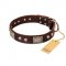 "Pirate Skull" FDT Artisan Brown Leather Central Asian Shepherd Collar with Old Silver Look Plates and Skulls