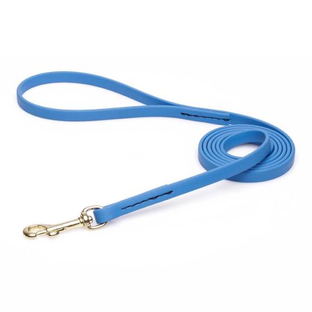 Amazing Blue Biothane Central Asian Shepherd Leash for Walking, Tracking
