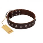 "Dark Chocolate" Handmade FDT Artisan Brown Leather Central Asian Shepherd Collar with Studs