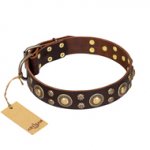 "Flower Melody" FDT Artisan Brown Leather Central Asian Shepherd Collar with Mixed Studs
