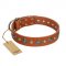 "Natural Beauty" FDT Artisan Tan Leather Central Asian Shepherd Collar with Shining Silver-like Studs