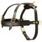 Leather Central Asian Shepherd Harness for Tracking and Pulling