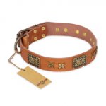"Cosmic Traveller" FDT Artisan Adorned Leather Central Asian Shepherd Collar with Old Bronze-Plated Stars and Plates