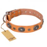 "Twinkle Twinkle" FDT Artisan Incredible Studded Tan Leather Central Asian Shepherd Collar