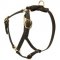 Y-Shaped Leather Central Asian Shepherd Harness for Tracking and Training