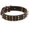 Central Asian Shepherd Spikes and Studs Rows Leather Dog Collar