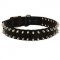 Central Asian Shepherd Nylon Collar Spiked