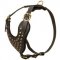 Adjustable Studded Leather Central Asian Shepherd Harness for Fashion Walking