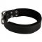 Central Asian Shepherd Durable Padded Leather Collar 40 mm