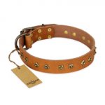 "Autumn Story" FDT Artisan Leather Central Asian Shepherd Collar with Old Bronze Look Studs