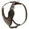 Adjustable Leather Central Asian Shepherd Harness Studded for Fashion Walking