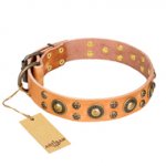 "Sophisticated Glamor" FDT Artisan Leather Central Asian Shepherd Collar with Fancy Old Bronze-like Plated Decorations