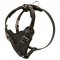 Protection Leather Central Asian Shepherd Harness for Attack / Agitation Dog Training