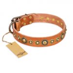 "Feast of Luxury" FDT Artisan Tan Leather Central Asian Shepherd Collar with Old Bronze Look Circles