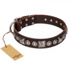 "Pierian spring" FDT Artisan Brown Leather Central Asian Shepherd Collar with Silvery Decorations