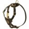Tracking Walking Walking Leather Central Asian Shepherd Harness for Puppies