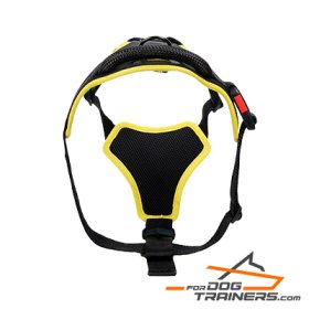 Perfect Fit Black Nylon Harness for Safe and Comfortable Walking