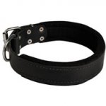 Central Asian Shepherd Durable Padded Leather Collar 40 mm