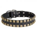 2 Rows Brass Studded Leather Central Asian Shepherd Collar for Walking and Training