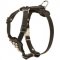 Studded Leather Central Asian Shepherd Puppy Harness