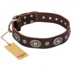 "Extra Pizzazz" FDT Artisan Adorned Brown Leather Central Asian Shepherd Collar