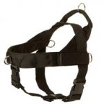 Central Asian Shepherd Harness Nylon with Patches