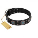 "Boundless Blue" FDT Artisan Black Leather Central Asian Shepherd Collar with Chrome Plated Brooches and Square Studs