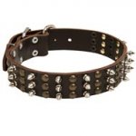 Central Asian Shepherd Spikes and Studs Rows Leather Dog Collar