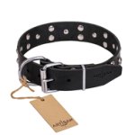 "Mystic Skulls" Decorated Leather Central Asian Shepherd Collar with Skulls and Studs