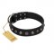 "Black Knight" Handmade FDT Artisan Black Leather Central Asian Shepherd Collar with Silver-Like Studs