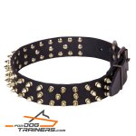 "Black Super Star" Leather Dog Collar with Brass Decorations