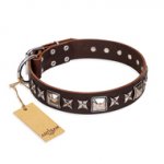 "Perfect Impression" FDT Artisan Brown Leather Central Asian Shepherd Collar with Silvery Square Studs