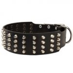 Extra Wide 4 Rows Studded Leather Central Asian Shepherd Collar