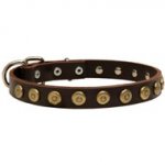 Leather Central Asian Shepherd Collar with Brass Dotted Circles for Fashion Walking