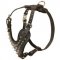 Spiked Leather Central Asian Shepherd Harness for Fashionable Walking