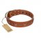 "Star Shine" Exclusive FDT Artisan Tan Leather Central Asian Shepherd Collar with Silver-Like Adornments
