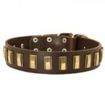 Leather Central Asian Shepherd Collar with Awesome Brass Plates